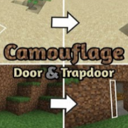 Mod: Camouflage Door